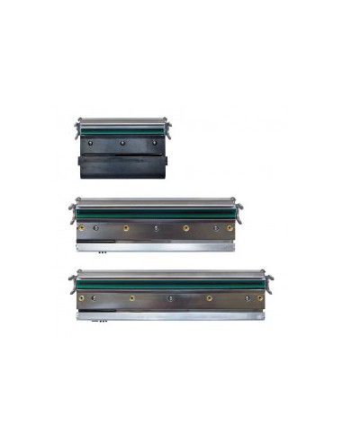 TSC Printhead, 8 Dots/mm (203dpi), MH241